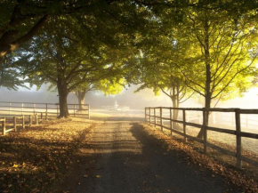 Гостиница Whispering Waters  Nottingham Road